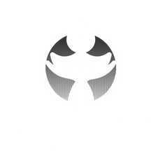 Velicham Foundation Logo